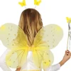 Accessoires set geel met vleugels