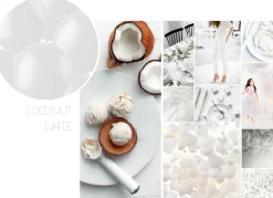 Ballonnen matte kleuren - biologisch afbreekbaar