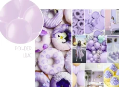 Ballonnen matte kleuren - biologisch afbreekbaar