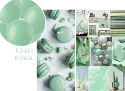 Ballonnen matte kleuren - biologisch afbreekbaar