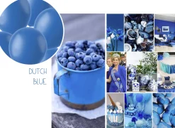 Ballonnen matte kleuren - biologisch afbreekbaar