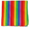 Bandana Regenboog