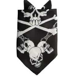 Bandana Skull