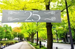 Banier 25 Jubileum 180x40cm