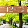 Banier 12,5 Jubileum 180x40cm