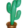 Cactus opblaasbaar