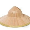 Chinese Hoed van het Stro