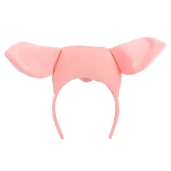 Diadeem Varken