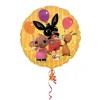 Folieballon Standard Bing