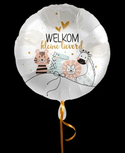 Folieballon Welkom kleine lieverd