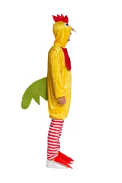 Funkostuum Funky Kip