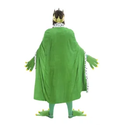 Funkostuum Kikker Koning