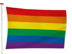 Gevelvlag Regenboog Pride