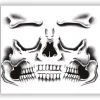Gezichtstattoo Skelet