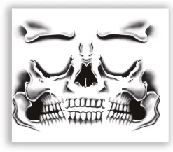 Gezichtstattoo Skelet