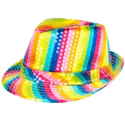 Hoed Popstar Rainbow