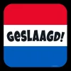 Huldeschild - Geslaagd rwb