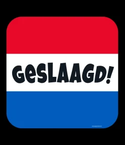 Huldeschild - Geslaagd rwb