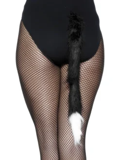 Kattenstaart zwart