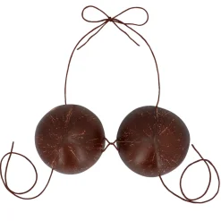 Kokosnoot bikini