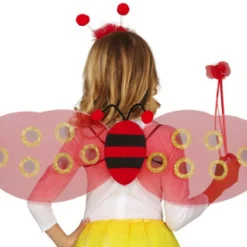 Ladybug accessoires set