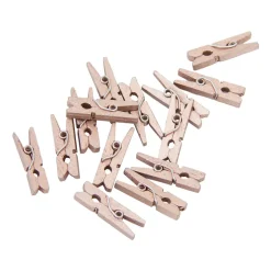 Mini wasknijpers 24st