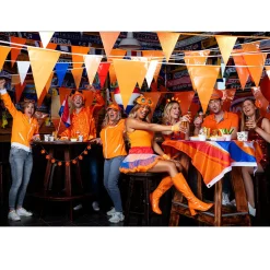 Partybril Holland Rave