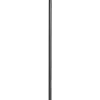 Pimp stick Dollar