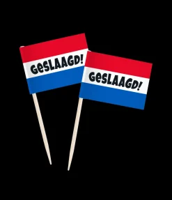 Prikkers Geslaagd rwb 50st