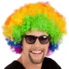 Pruik Afro regenboog