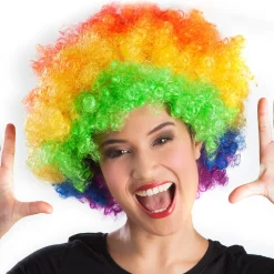 Pruik Afro regenboog