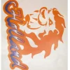Raamsticker Holland 35x55cm