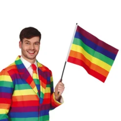 Regenboog zwaaivlag 35x45cm