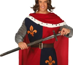 Ridderzwaard met schede