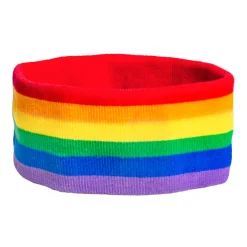 Set zweetbandjes regenboog