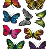 Tattoos Vlinders metallic