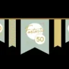 Vaantjes slinger fantastic 50 4m