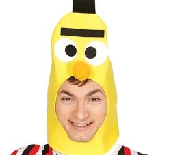 Verkleedkostuum Bert