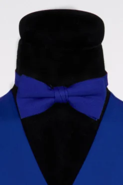 Vlinderstrik deluxe