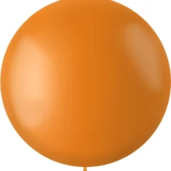 XL Ballonnen matte kleuren - biologisch afbreekbaar