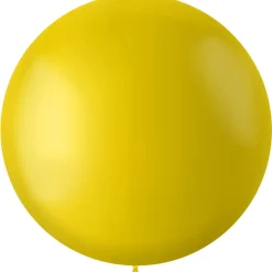 XL Ballonnen matte kleuren - biologisch afbreekbaar