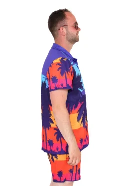 Zomersetje sunset hawaii