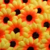 Zonnebloempjes 30 stuks