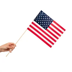 Zwaaivlaggetjes USA 10st